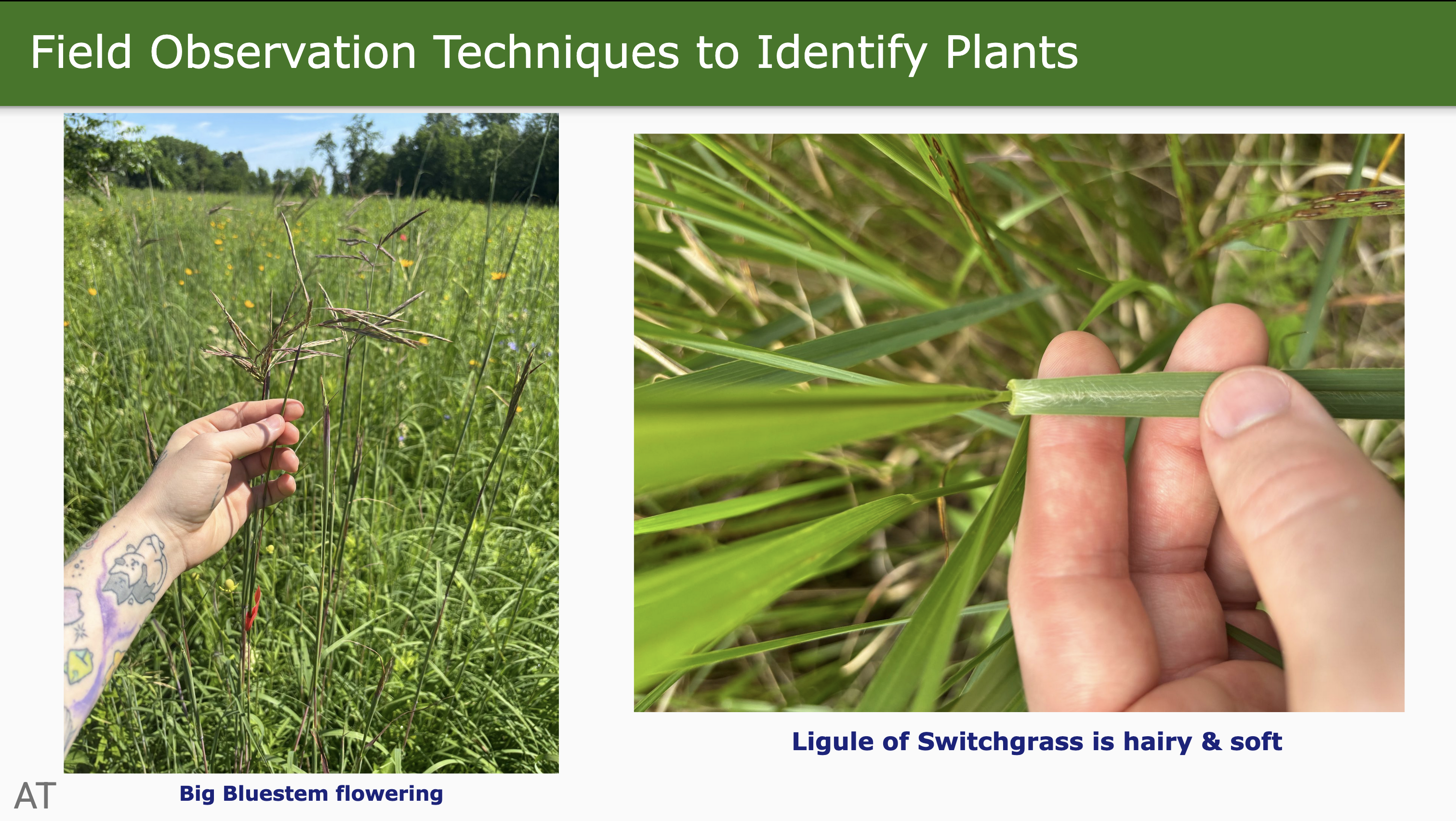 Slide 13